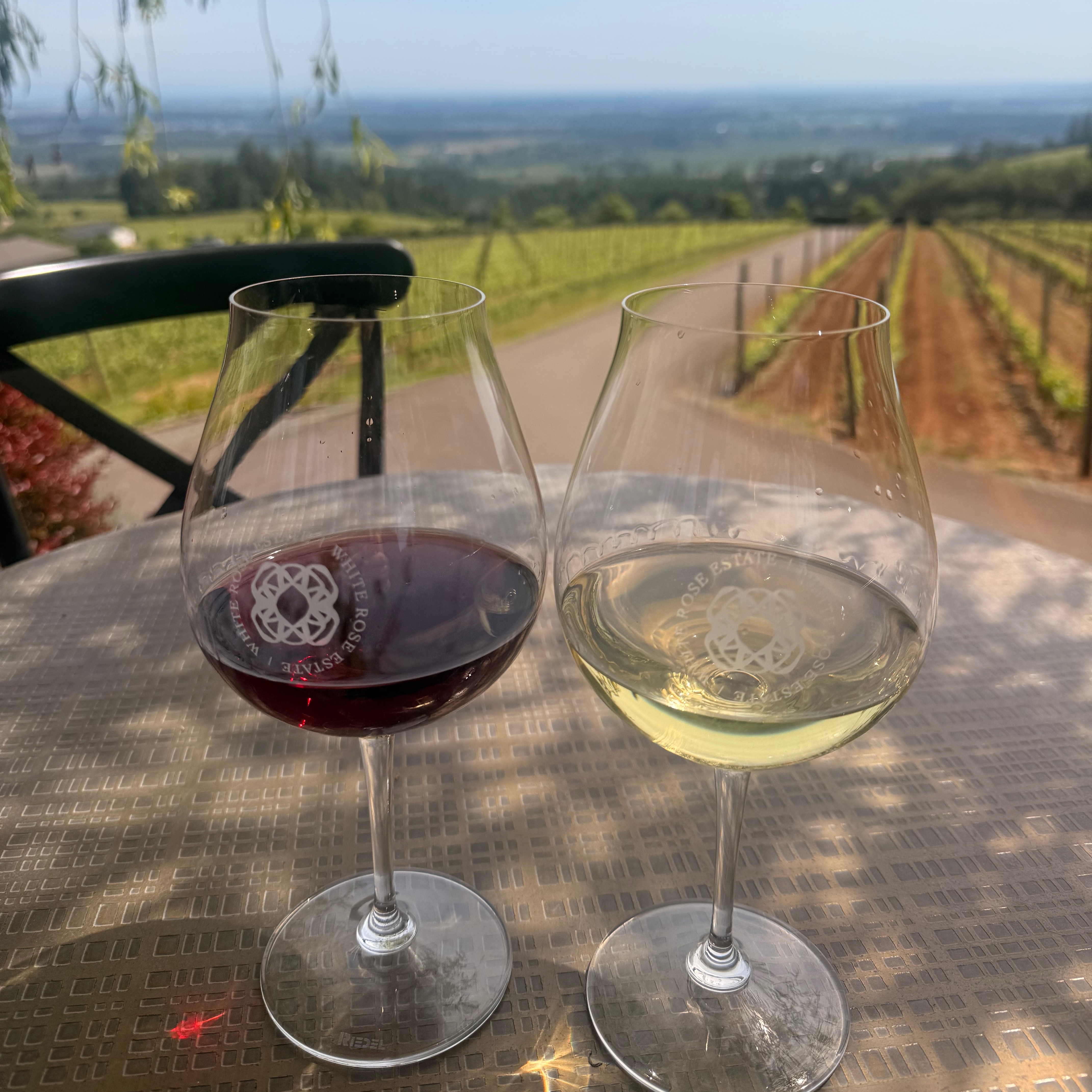 White Rose Wine Tasting Event